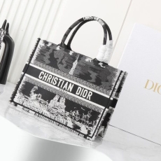 Christian Dior Shopping Bags